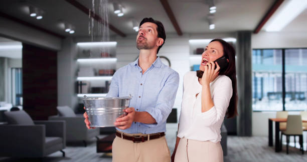 Best Residential water damage restoration  in Athens, IL